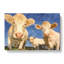 Three Dairy Cows - Wrapped Canvas-56644976