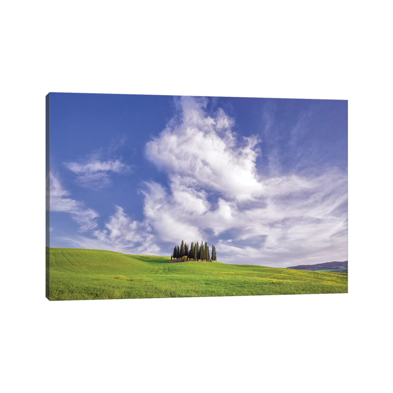Europe, Italy, Tuscany, Val D' Orcia. Cypress Grove In Landscape. by Jaynes Gallery - Wrapped Canvas Print
