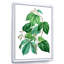 «Leaves Plants III», reproduction sur toile à cadre flottant-59638245-59638255
