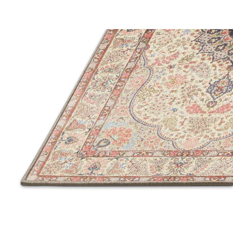 Oriental Indoor Rug, Rectangle 7' x 10'