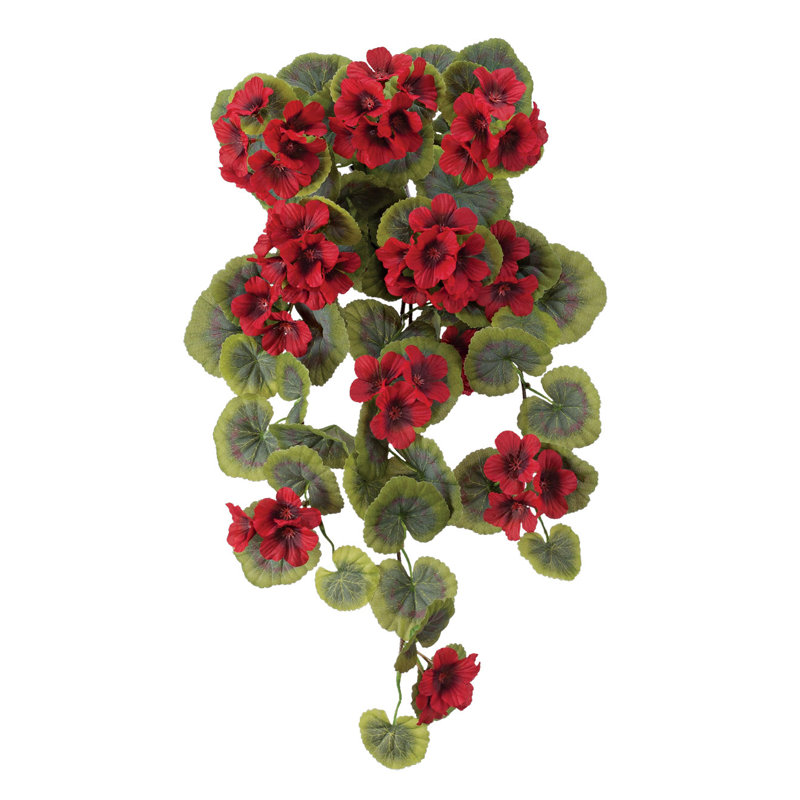 Géranium OakRidge à tige suspendue, Framboise