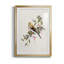 Spring Spring Pine Grosbeak - peinture encadrée-123802685-123802686