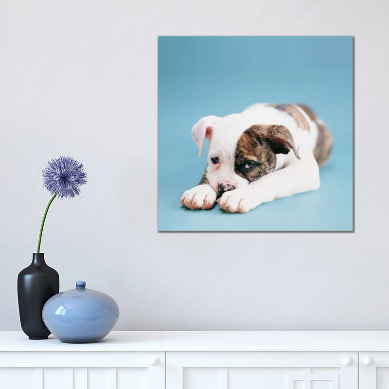 Shadow by Rachael Hale - Print on Canvas, Wrapped Canvas, 93.98 cm H x 93.98 cm W x 3.175 cm D