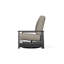 Leeward Polymer Outdoor Lounge Chair-1181835994-1181835973
