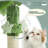 Evtim 32"H Cat Tree with Platform Bed, Top Perch, Cat Cave, Scratching Post for Kittens