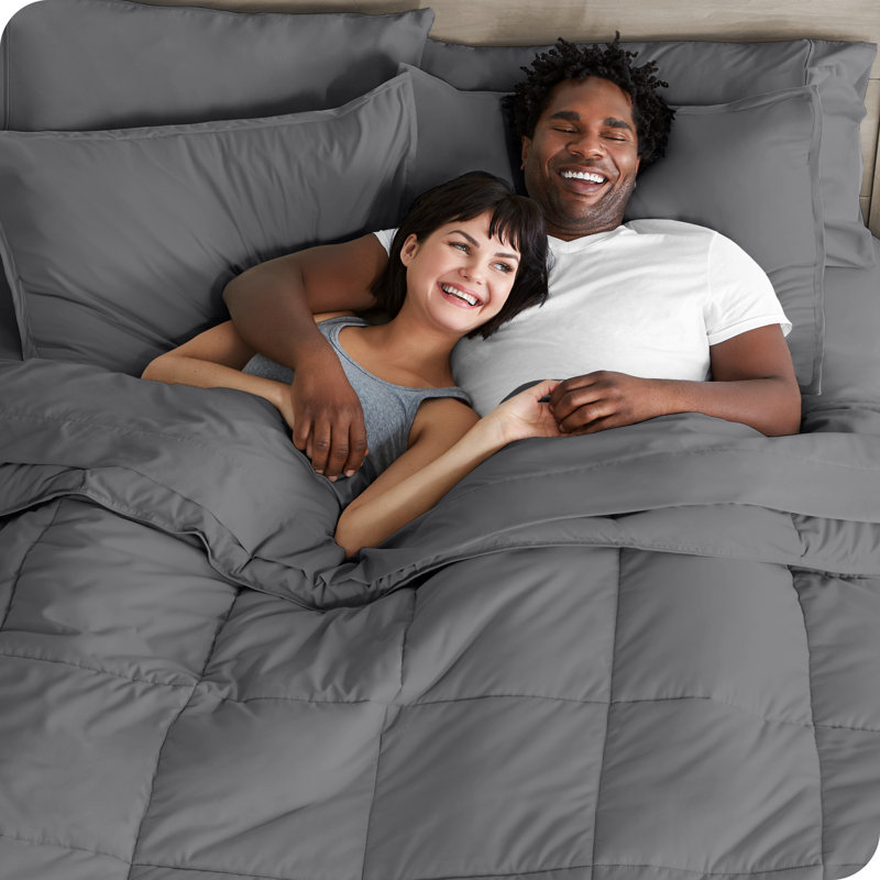 Microfiber Bed-In-A-Bag, California King Comforter + 6 Additional Pieces, Gray/Gray