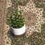 Oriental Area Rug-84895597