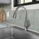 Elkay Everyday 1 Hole Kitchen Faucet with Pull-down Spray and Fw Only Lever Handle Matte Black
