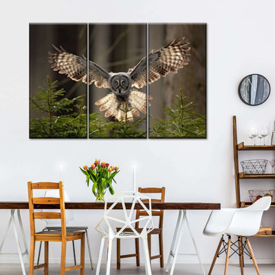 " Flying Owl " 3 - Pieces