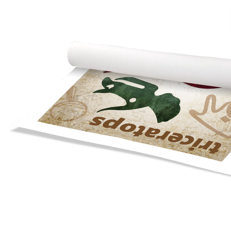 Adhésif décoratif dinosaures-04 ', H 36 po x l 24 po x P 1 po, Papier