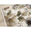 Tapis botanique crème Paturi-1479050644