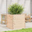 2 Wood Planter-100491989-100491984