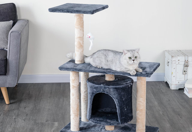Cat Trees for Less