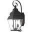 Luminaire suspendu pour lanterne murale d'extérieur 8 pouces 8 lumières - Abat-jour en verre transparent-101230714