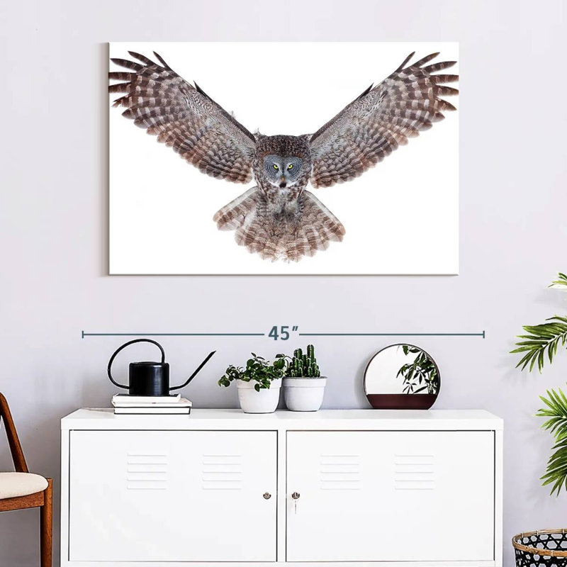 Owl Power, H 26 po x l 39 po