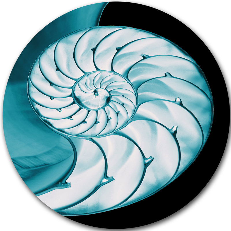 « compartimented nautilus shell », impression sur métal, H 23 po x l 23 po x P 1 po