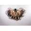 Abdurrahman Glass Semi Flush Mount-778293858
