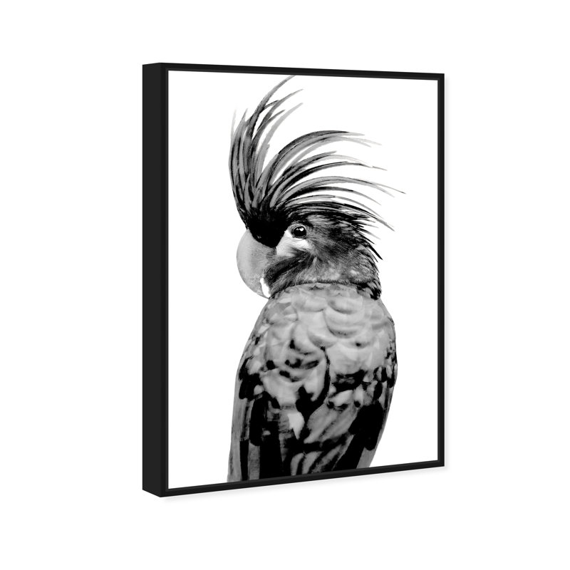 Animaux, cacatoès - Impression sur toile, Toile avec cadre noir, H 36 po x l 24 po