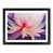Black Framed selected