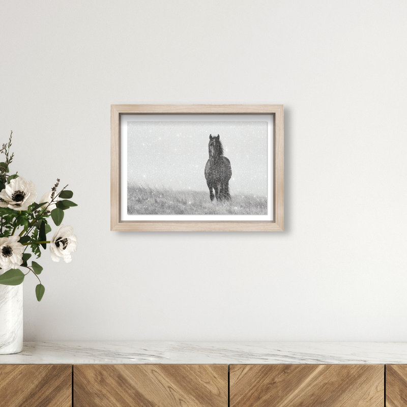 Lone Stallion I Print by Oliver Gal, 11.5" H x 16.5" W, Natural Oak Shadowbox