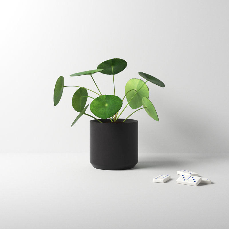 Parsons Handmade Ceramic Pot Planter, Black