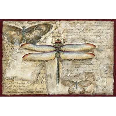 Poetic Dragonfly II by Chariklia Zarris - Wrapped Canvas Print