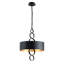 4 - Light Unique/Statement Drum Pendant