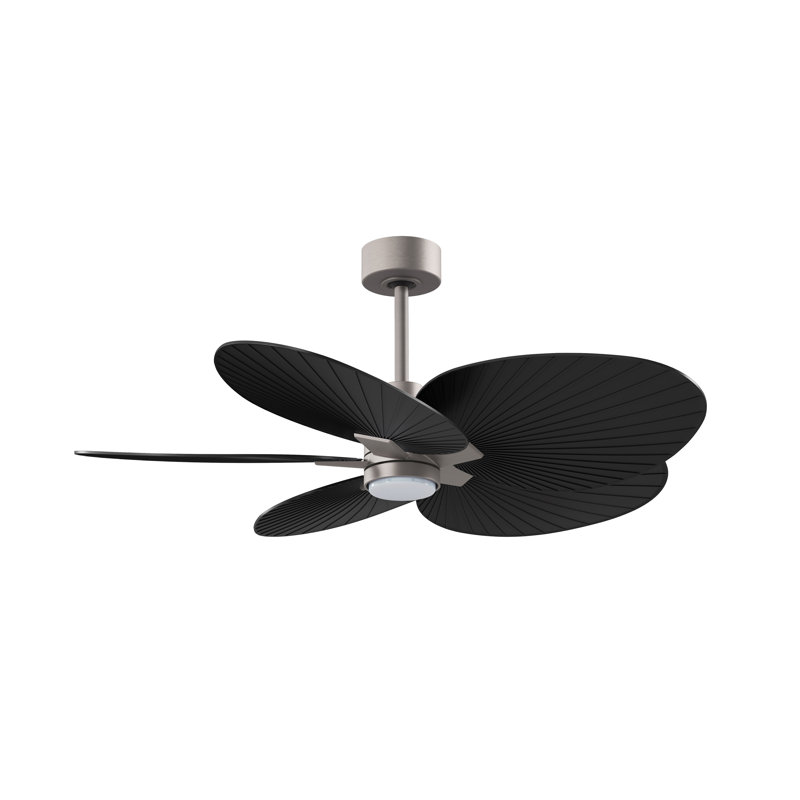 Alessandra - Ventilateur de plafond à cinq pales - DEL intégrée, Nickel brossé, Noir mat