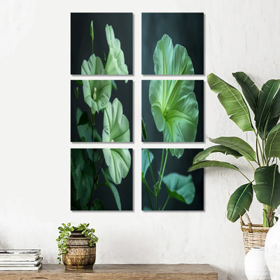 «Green Garden Meadow Morning Glory», ensemble de 6 reproductions d'art mural