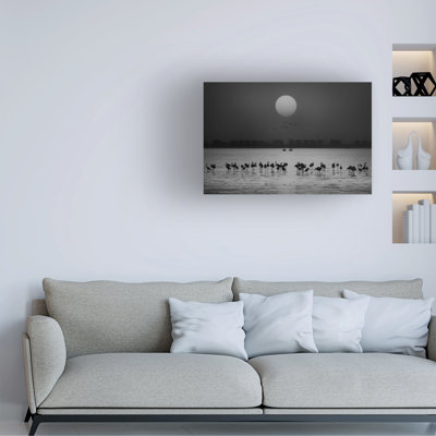 Ahmed Thabet  At A Glance Canvas Art
