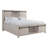 Zaniaya Bookcase Bed-538676526