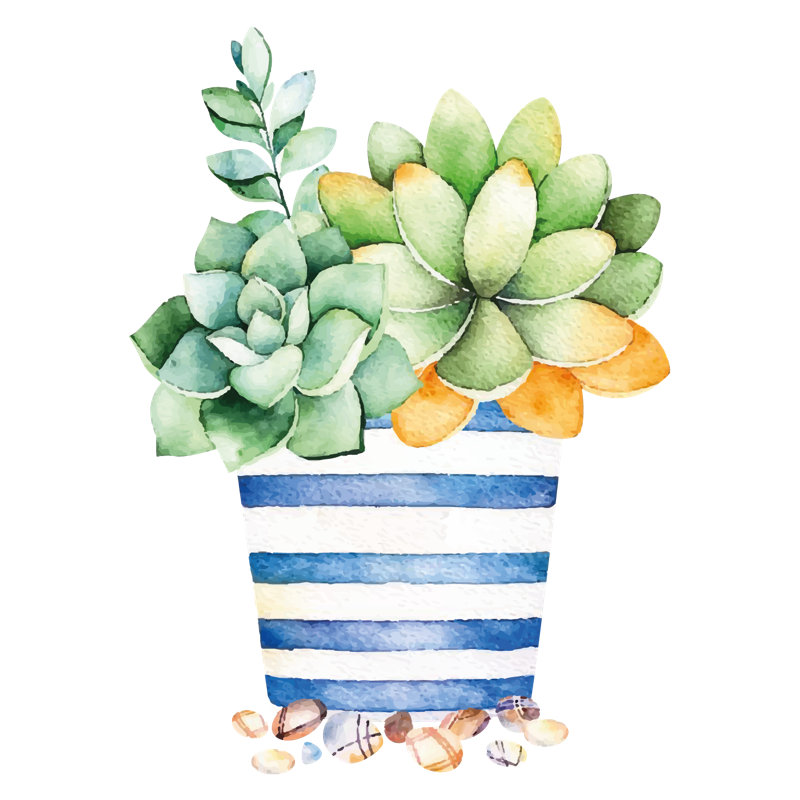 Adhésif décoratif succulent