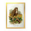 Vie d'oiseau rétro - peinture sur toile-59815734-59815735