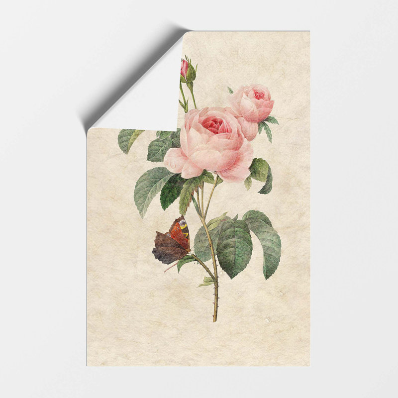 Butterfly & Pink Rose by Pierre Joseph Redoute - Frameless Print, 29.7 cm H x 21 cm W