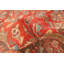 Tapis rouge Antalya 9 pi 2 po x 13 pi 2 po