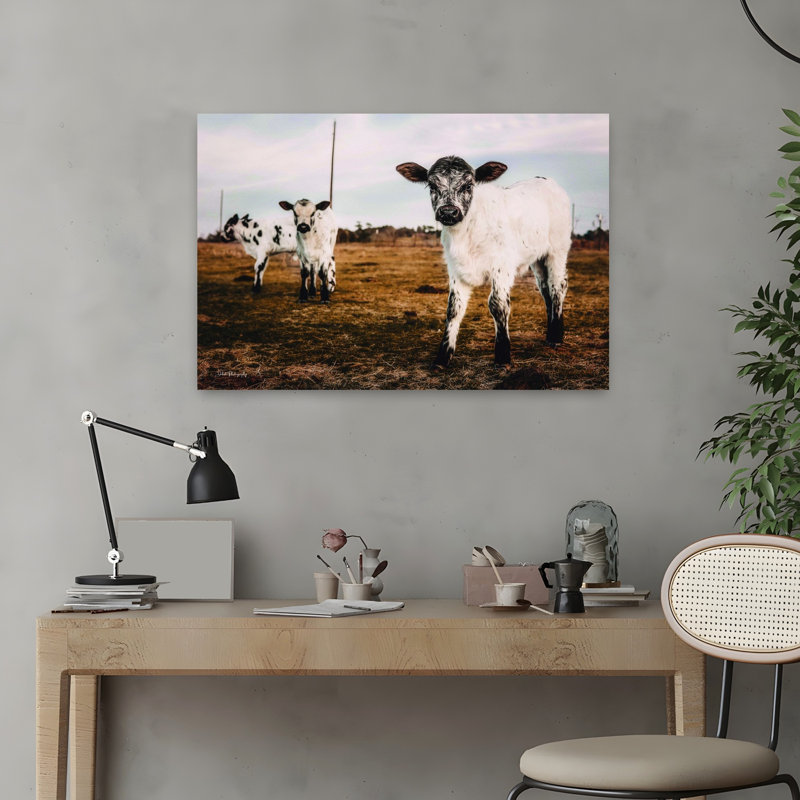 Trois veaux, paysage de vache contemporain abstrait, art naturel, H 16 po x l 24 po