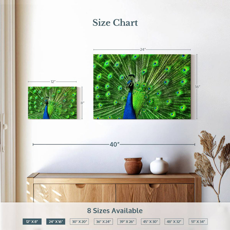 Plume de paon vert Bramtr Chartreuse, H 16 po x l 24 po