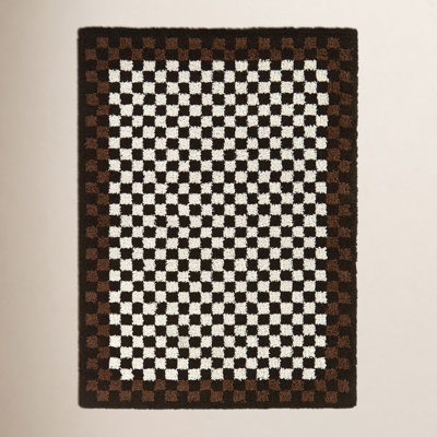 Joshuah Brown Cream Checkered Shag Rug