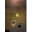 Rustica-1368465398