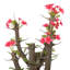 Cactus artificiel 14 po en pot