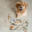 Art floral antique - Tapis d'alimentation en forme d'os