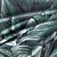 Saltaire Blackout Curtains Single Panel