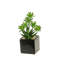 Faux Succulent in Ceramic Planter