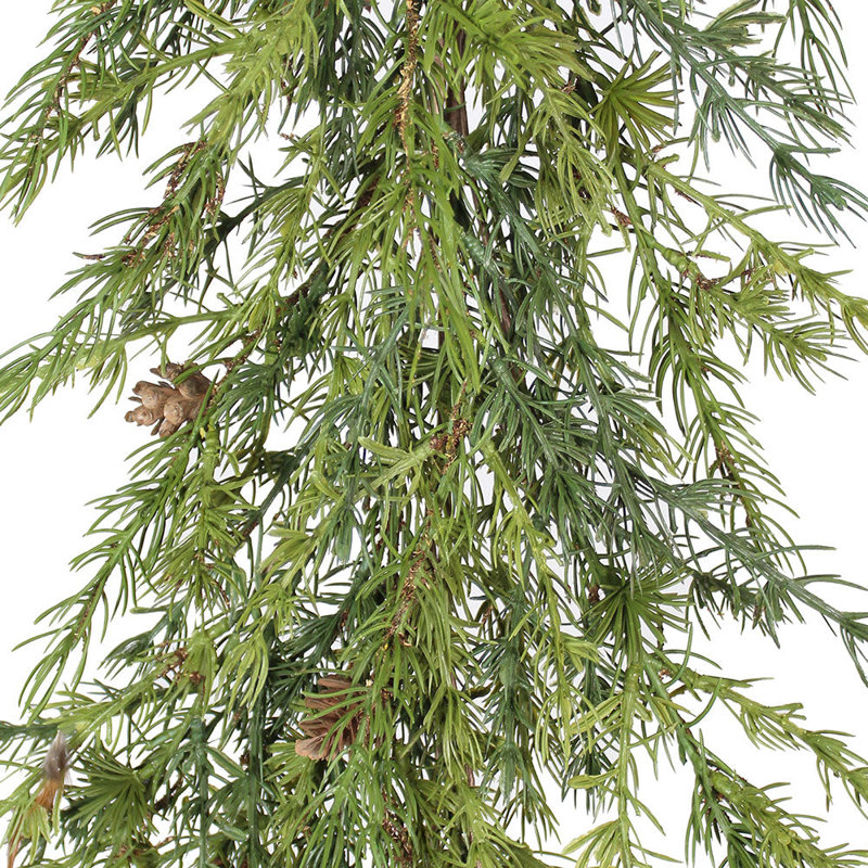 Guirlandes de guirlandes PINE