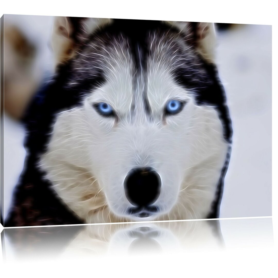 Leinwandbild Husky in Schwarz/Creme