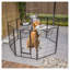 Heavy Duty Outdoor Dog Playpen with Double-Coated Wrought Iron Finish, Black