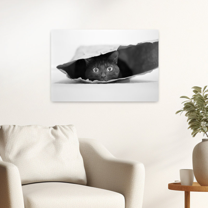 «Curious Black Cat», art mural contemporain, H 16 po x l 24 po
