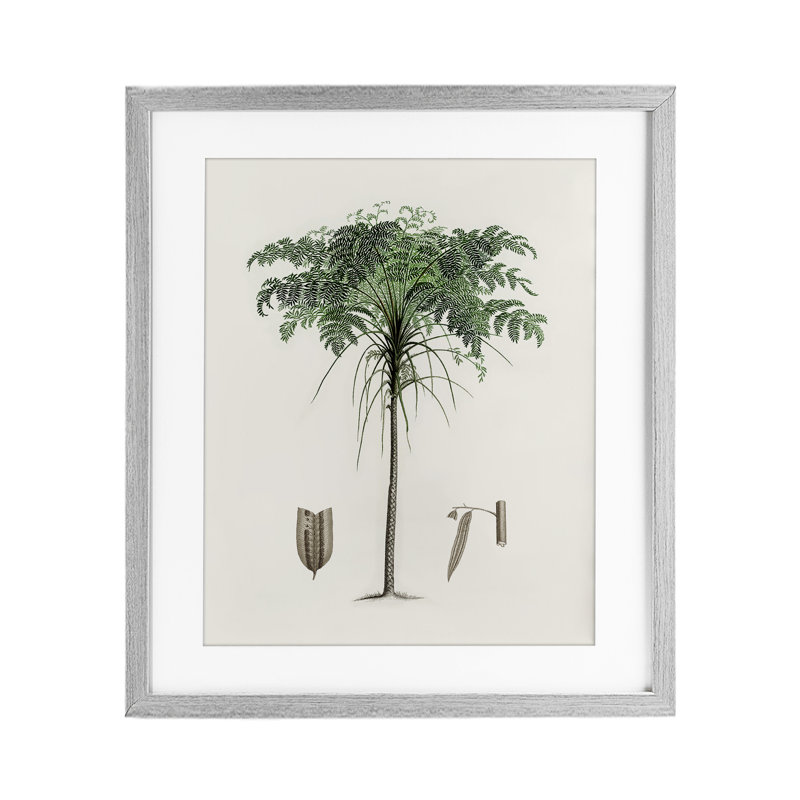 «Vintage Palm Tree Study», impression par CAD encadrée, Cadre de ferme gris, H 16 po x l 13 po
