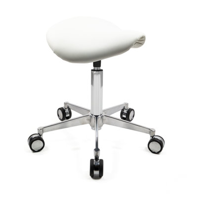 Gerall Adjustable Height Ergonomic Lab Stool with Removable Casters/Wheels
