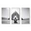 Photo de pingouin noir et blanc - art mural pingouin-986628583-986628578